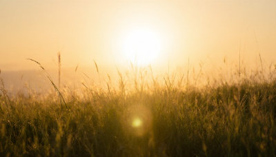 愛の不時着のカップルが結婚するという光のイメージ