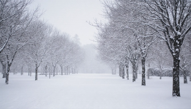 韓国ドラマ　トッケビ　雪景色と初雪と願い事と幸せの瞬間