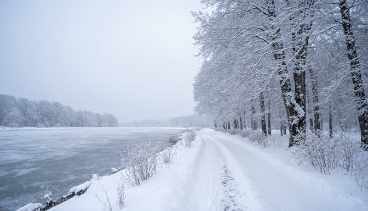 韓国ドラマ　冬のソナタの雪景色と白銀の並木道